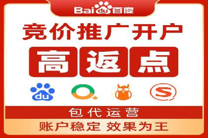 百度竞价赚钱秘诀：实战案例分析